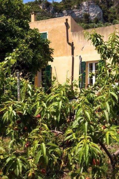 Agriturismo La Selva フィナーレ・リーグレ エクステリア 写真